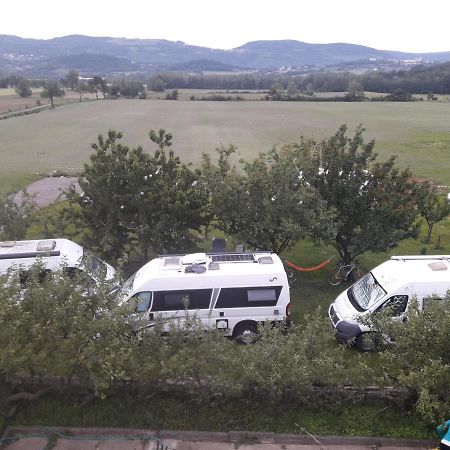 Turisticna Kmetija Pri Rebkovih Apartment Ajdovščina Екстериор снимка