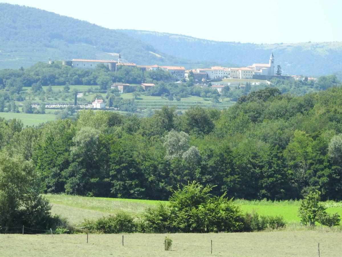Turisticna Kmetija Pri Rebkovih Apartment Ajdovščina Екстериор снимка